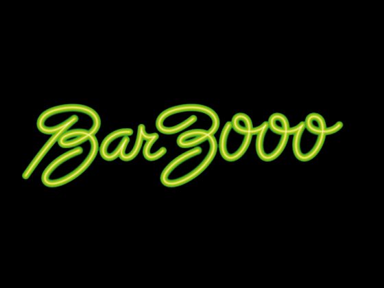 Einbau Bar 3000